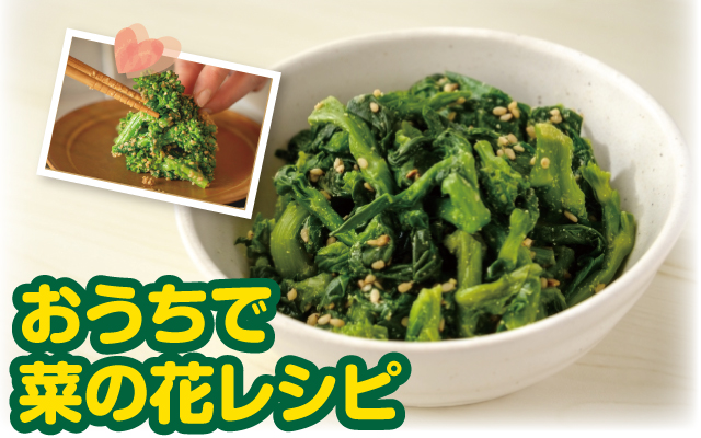 大人気 菜の花料理 なごころ保育園