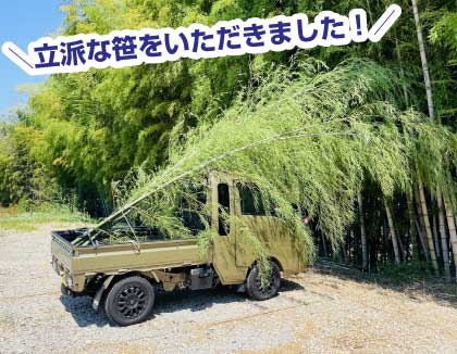 立派な笹